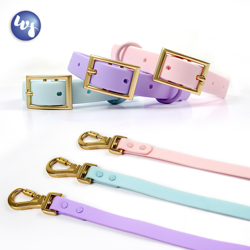 Winshine manufacture support customized PVC silicone mascot collar and leash for dogs wholesale gold buckle dog collar pvc