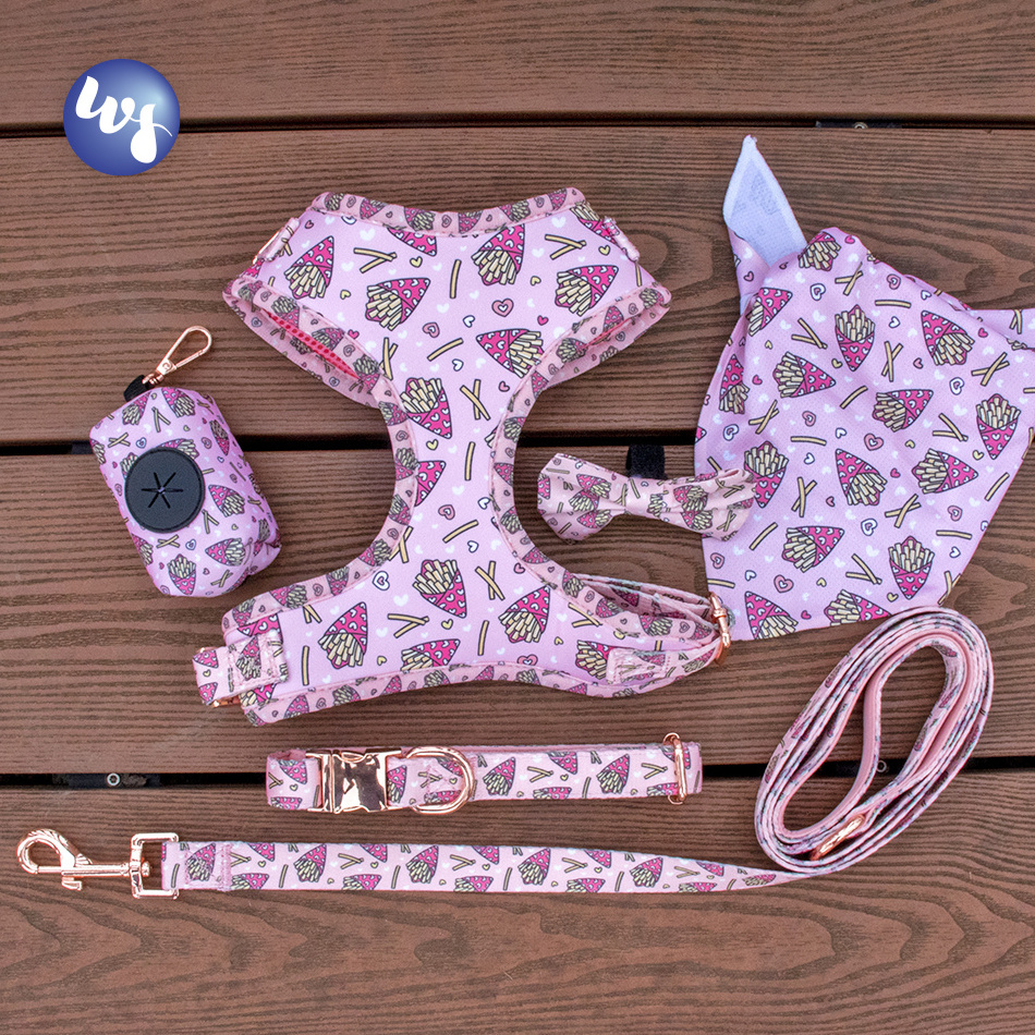 Hot Selling Cute Reversible Soft Mesh Harness Dog Custom Logo Printing Dog Harness Set with Pet Collar Leash Dog Poop Bag