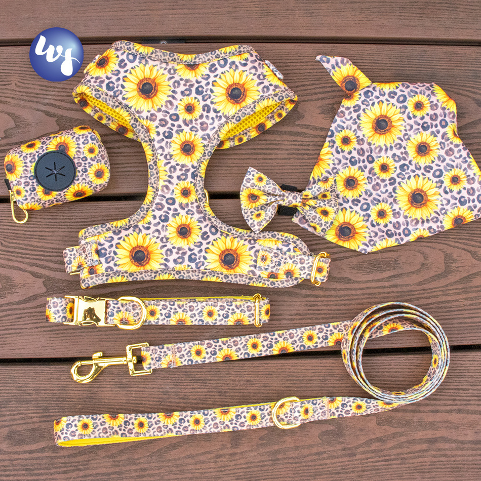 Hot Selling Cute Reversible Soft Mesh Harness Dog Custom Logo Printing Dog Harness Set with Pet Collar Leash Dog Poop Bag