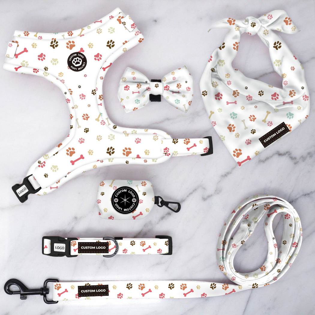 Personalized Design Dog Collars and Matching Leashes Rubber Logo Covers Dog Collar Leash Manufacturers