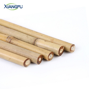 Nature straight strong bamboo canes,bamboo poles/raw bamboo material/bamboo canes