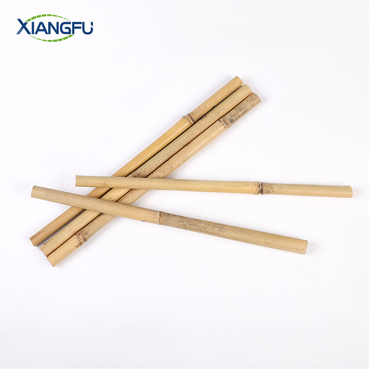 Nature straight strong bamboo canes,bamboo poles/raw bamboo material/bamboo canes