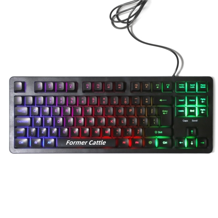 2024 New Custom K87B 60% Rgb Light Gaming Keyboard Wired Pc Usb Keyboard E-Sports Magnetic Switch Keyboard