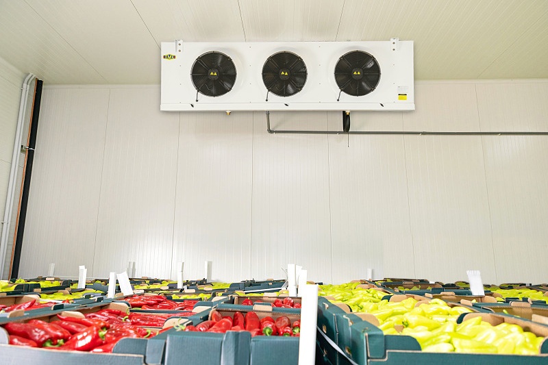 Cold storage cold room for vegetable and fruit keep fresh warehouse with Condensing Unit 25HP