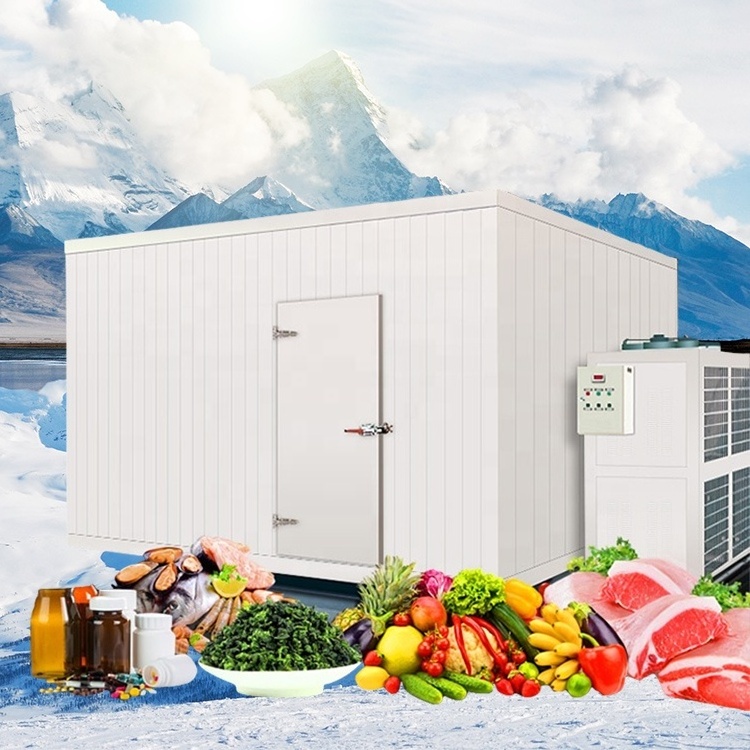 Blast Chiller Room Cold Storage Cold Room Freezer For Chicken Cheap Price