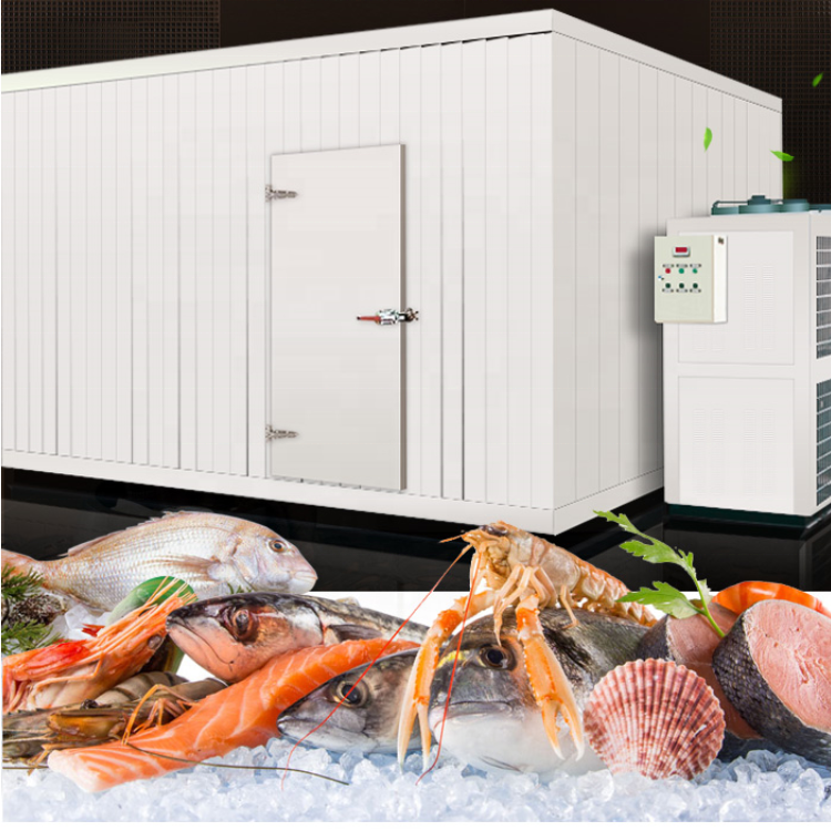 Blast Chiller Room Cold Storage Cold Room Freezer For Chicken Cheap Price