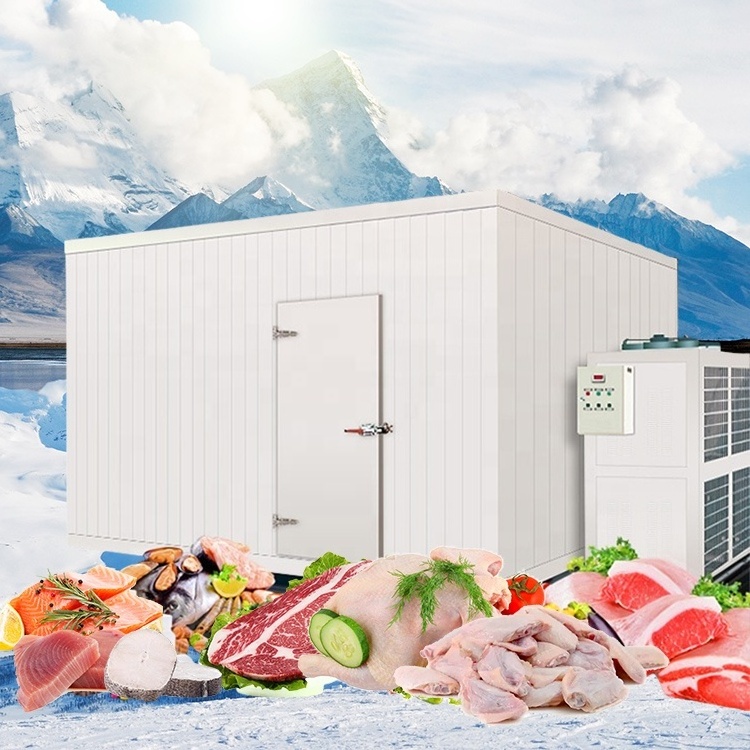 Blast Chiller Room Cold Storage Cold Room Freezer For Chicken Cheap Price