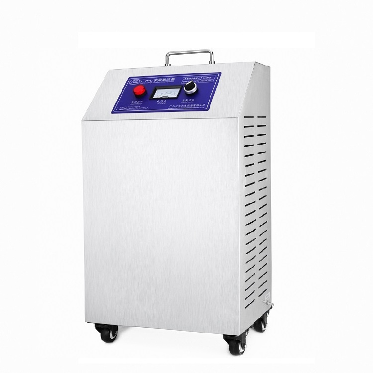 Commercial Ozone Generator 10g/h O3 High Capacity Air Purifier, Sterilizer and Deodorizer, Industrial Q3 Ionizer Machine