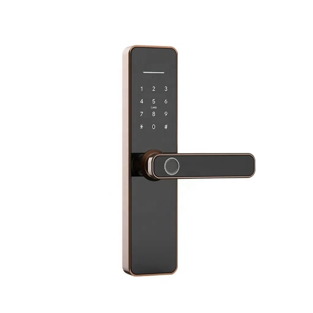 Tuya Wifi TT Lock App Remote Control with Fingerprint Password Card Key Unlocking Smart Door Locks