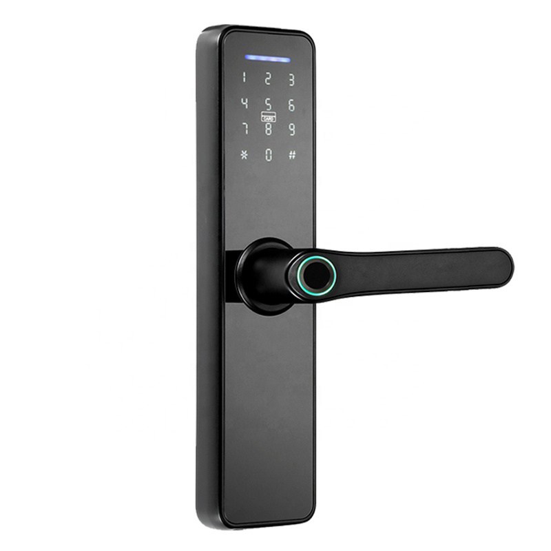 High Security Anti Theft Smart Lock Door Thumbprint Biometric Intelligent Electronic Fingerprint WiFi Door Lock