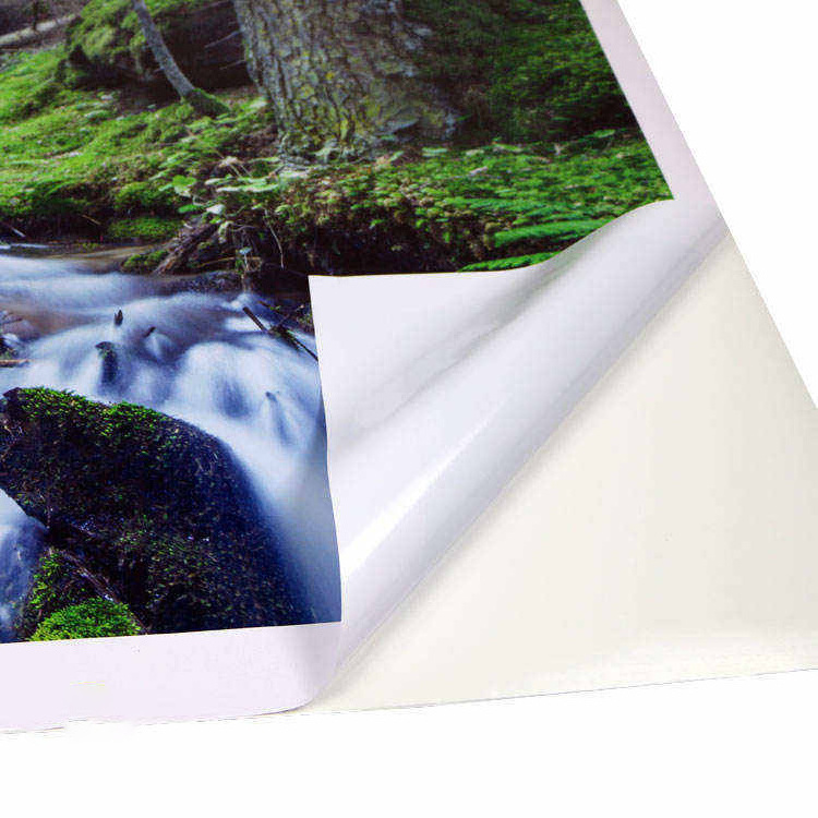 Outdoor PVC Eco Solvent Printing Glossy/Matte White Self Adhesive Vinyl PVC Vinyl Roll