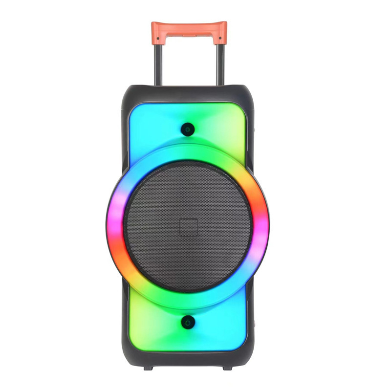 1201 Parlantes 12 inch Speaker Big TWS Plastic New Arrival trolley Speaker With wireless microphone