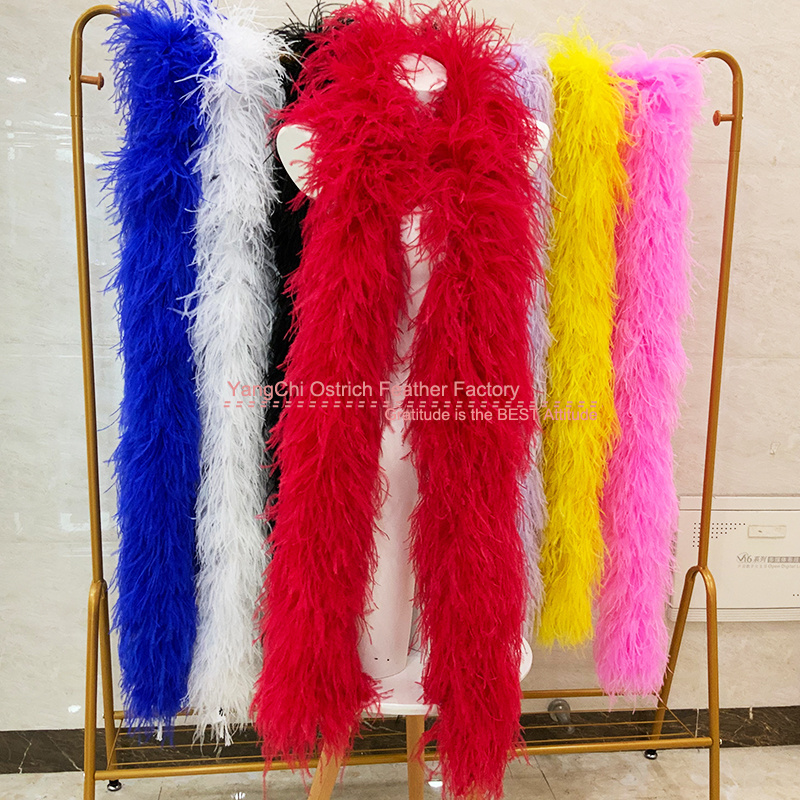 Fluffy Luxuriate Feathers Sewing Fringe Trim Ostrich Boa Feather 15 ply 2 meters for shoes