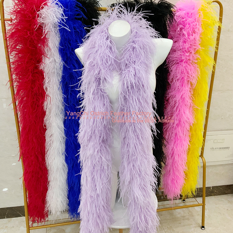 Fluffy Luxuriate Feathers Sewing Fringe Trim Ostrich Boa Feather 15 ply 2 meters for shoes