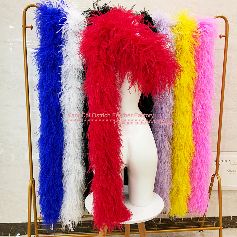 Fluffy Luxuriate Feathers Sewing Fringe Trim Ostrich Boa Feather 15 ply 2 meters for shoes