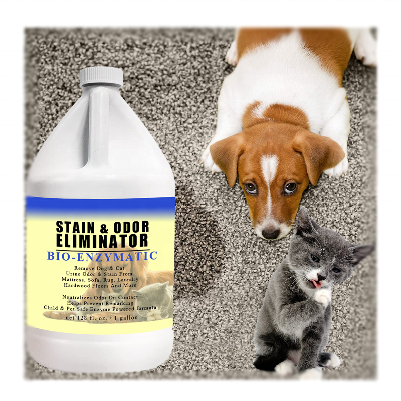 Super Strength Pet Urine Odor Eliminator Remover Enzyme Deodorizer Carpet Stain Bio-Enzymatic Cleaner Deodorant for Dogs Cats