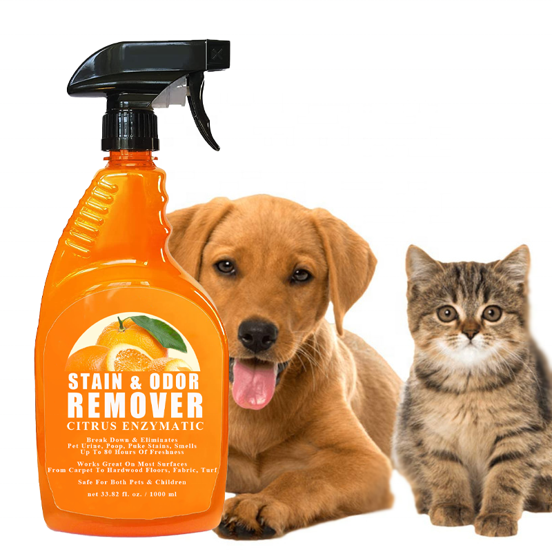 Orange citrus enzymatic carpet Stain Remover Enzyme Pet Cleaner Dog Cat Urine Destroyer Spray Cleaning Solution Puppy Supplies