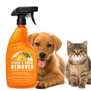 Orange citrus enzymatic carpet Stain Remover Enzyme Pet Cleaner Dog Cat Urine Destroyer Spray Cleaning Solution Puppy Supplies