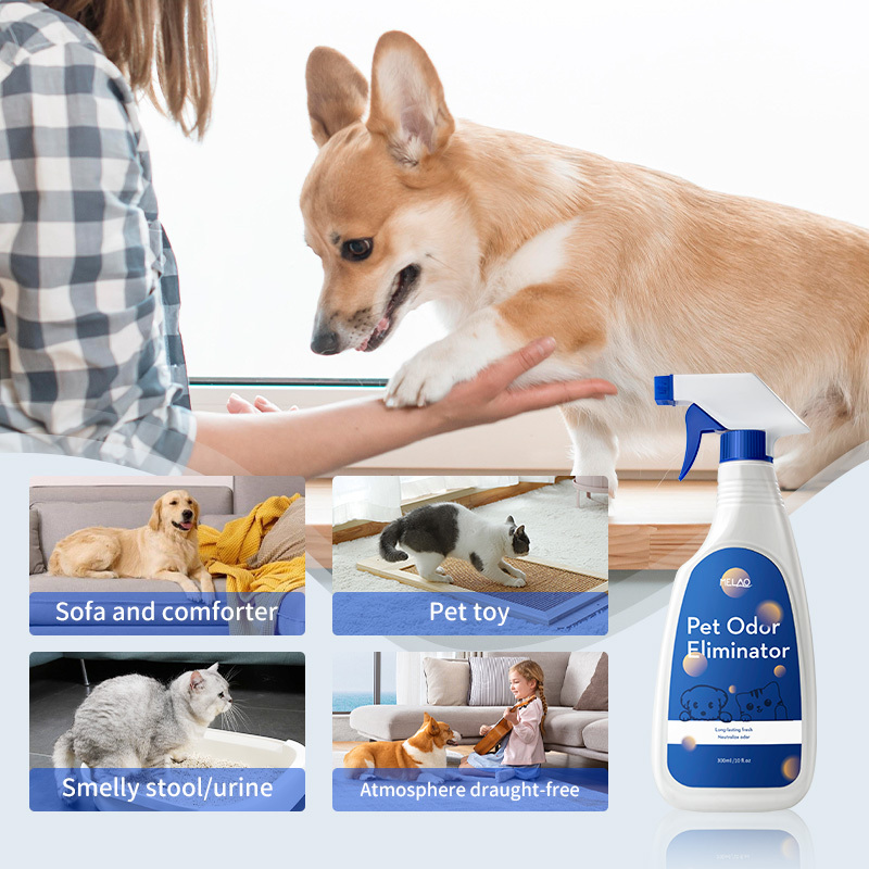 Wholesale Pet Urine Remover Natural Organic Puppy Stain Odor Eliminator Spray Multi-Surface Pet Odor Eliminator