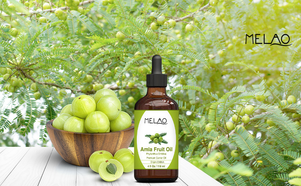 Healthy Hair Anti Dandruff Scalp Moisturizer Hair Growth Essential Oil Organic Face Oil Amla Hair Oil