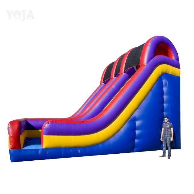 20ft tall Double Lane Inflatable Dry slide