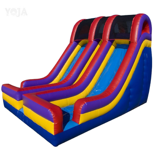 20ft tall Double Lane Inflatable Dry slide