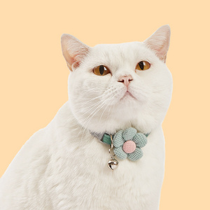 Flower design velvet collar cheaper colorful cat collar set soft padding match bow tie cat laser collar