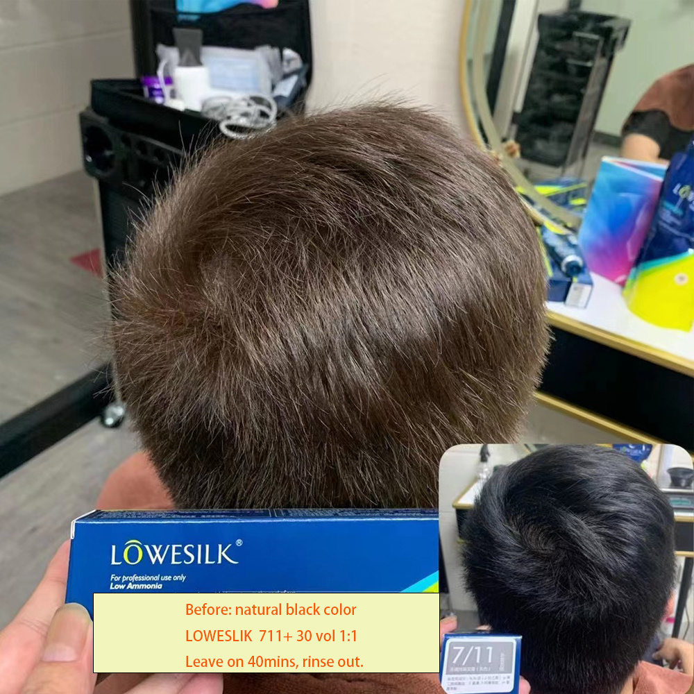 Lowesilk Professional italian hair color manufacturers low ammonia salon hair color dye