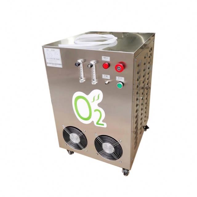 10 liter small oxygen generator 93 high concentration industrial oxygen generator