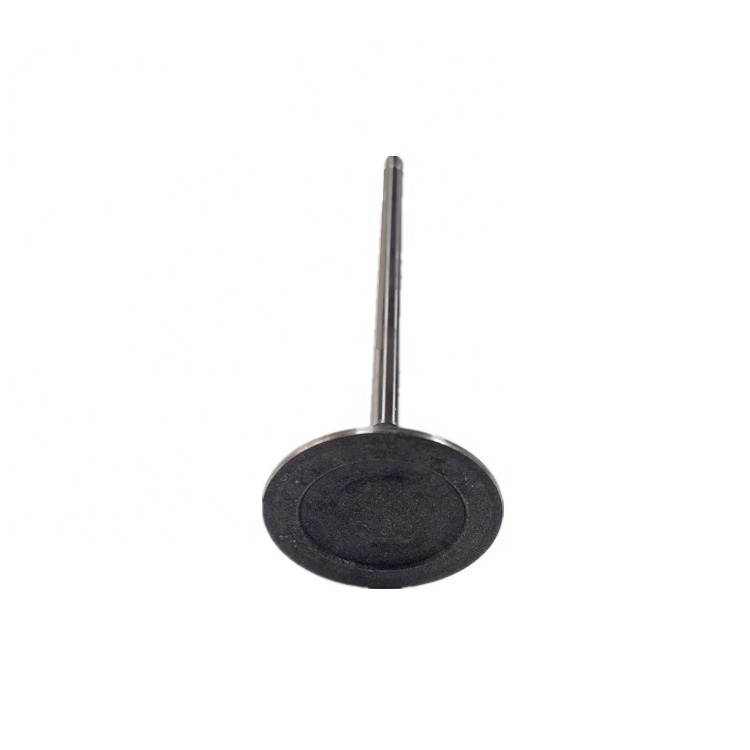 Wholesale Factory High Quality Auto Parts 1720530101 1720500027 1720530001 Exhaust Valve