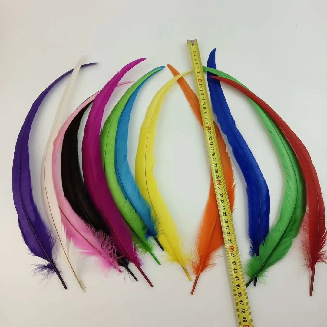 ZSY Factory Wholesale Selected 40-45 cm Bleached Dyed Rooster Tail Feathers for Carnival Costume and Samba Dance