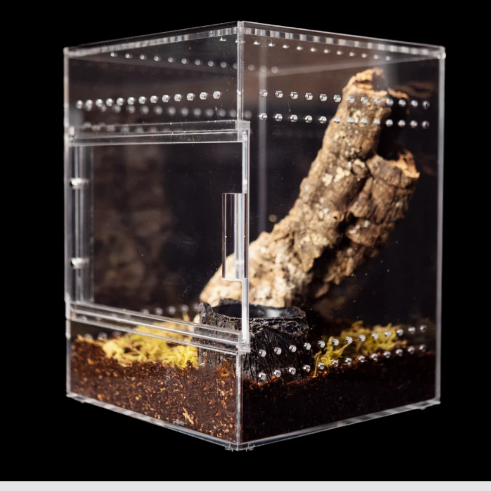 Customized Design Acrylic Reptile Display Case Clear Reptile Enclosure Jumping Spider Breeding Box