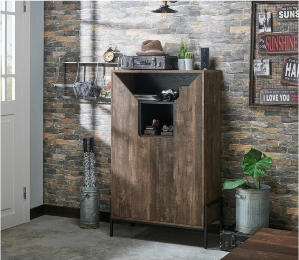 Industrial 18 Pair Shoe Storage Cabinet Pantry Cabinet Storage Cabinet with Door and Shelf for Living Room Kitchen