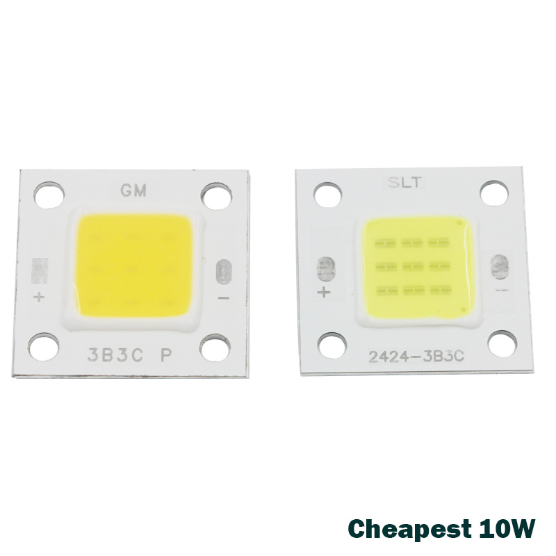 Super 10W 20W 30W 50W 100W LED Integrated High power LED bulb White/Warm white EPISTAR COB Chips led lamps