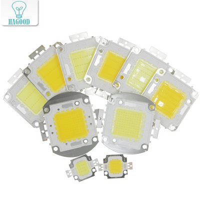 Super 10W 20W 30W 50W 100W LED Integrated High power LED bulb White/Warm white EPISTAR COB Chips led lamps