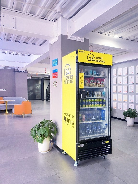 Smart Cooling Vending Machine Fresh Flower Vending Machine With Refrigeration for subway station