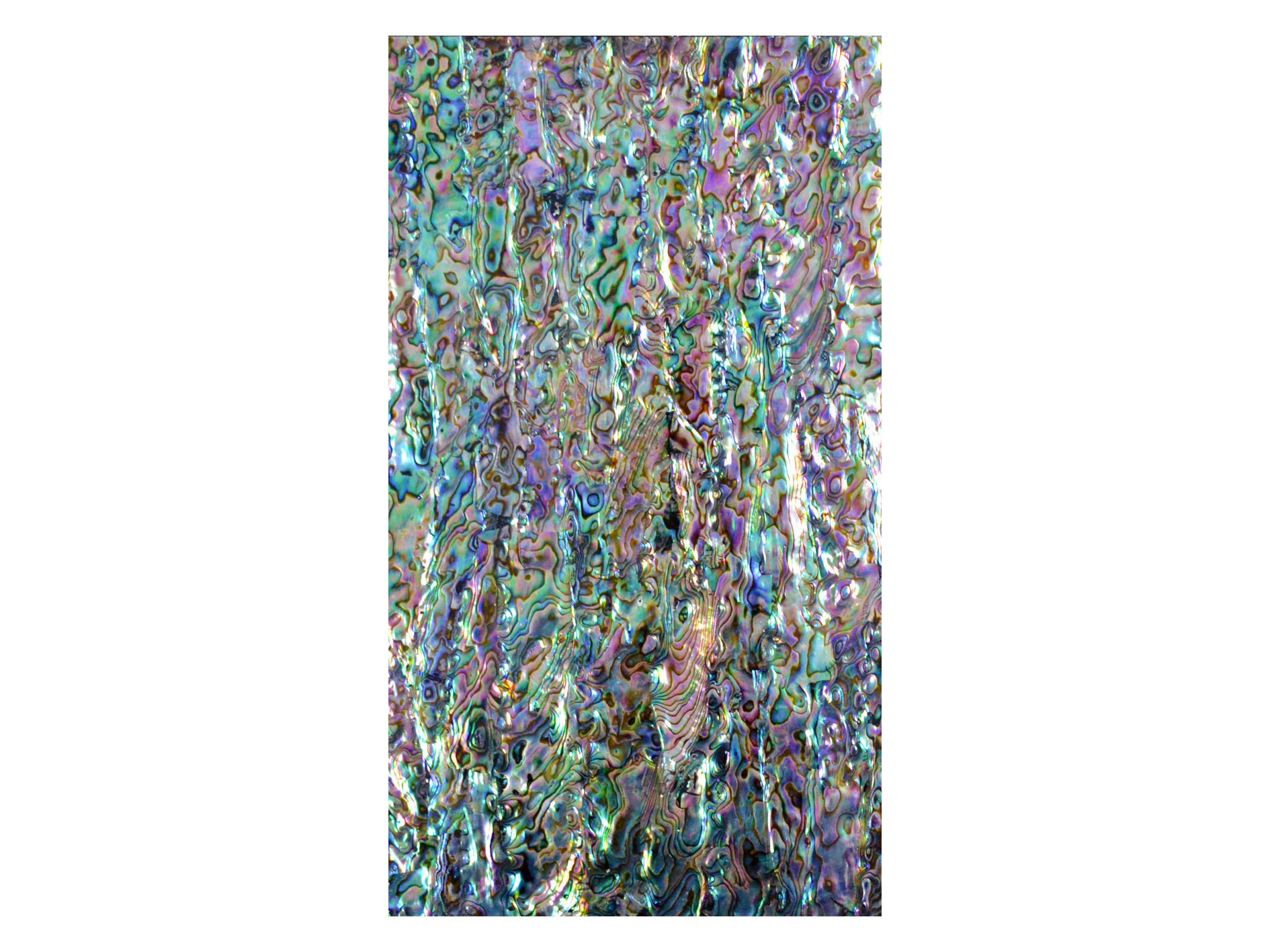 Customizable Wholesale abalone shell laminate for making wall wallpaper