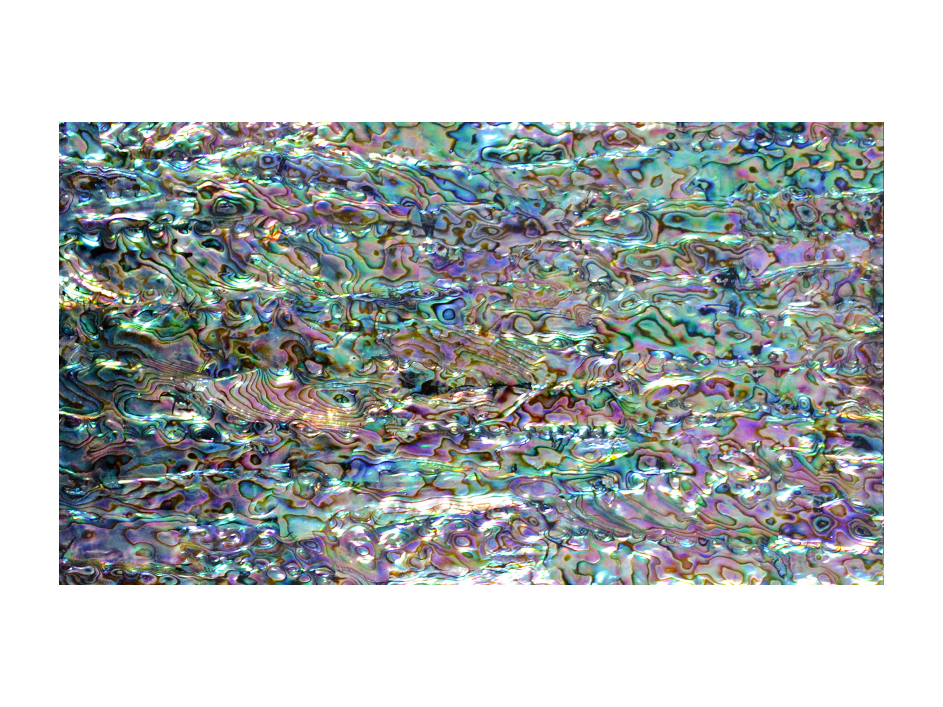 Customizable Wholesale abalone shell laminate for making wall wallpaper