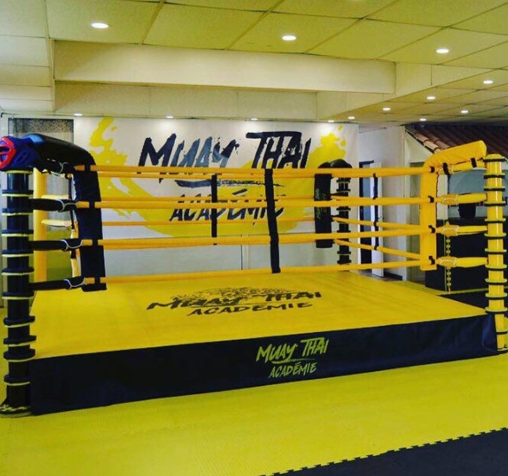 3mX3m High Quality Mini Boxing Ring For Training