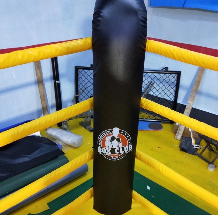 3mX3m High Quality Mini Boxing Ring For Training