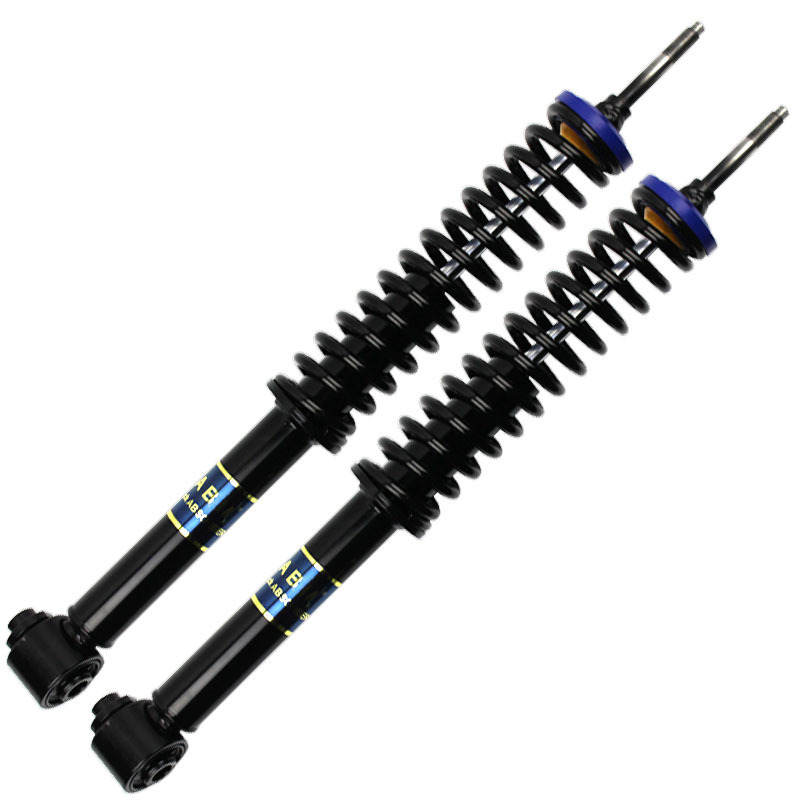 ABM air suspension adjustable shock for German BMW 525i/530i 318i/323i/325i 528i/530i/540i 318i/320i/328i 745i/750i X3 X5