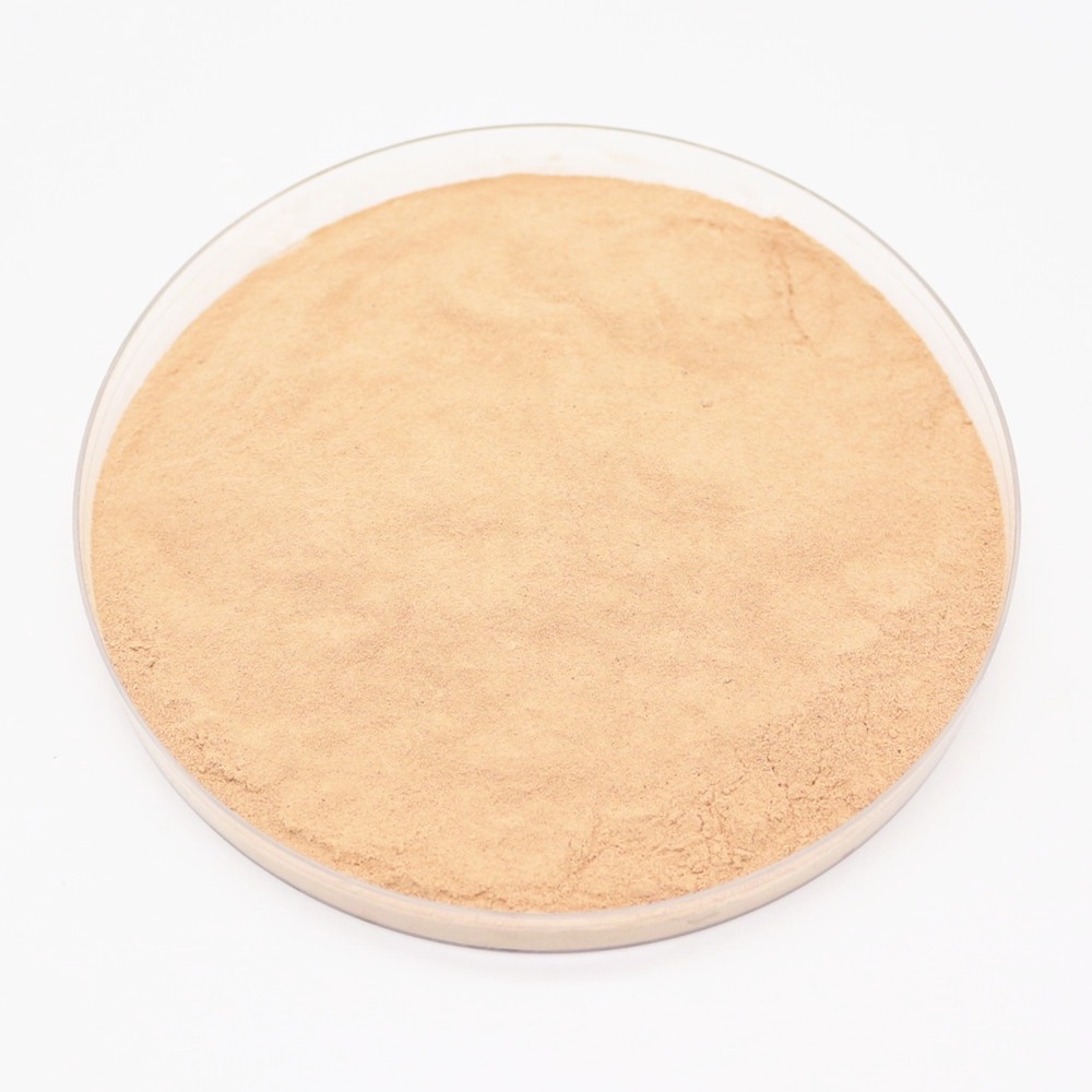 organic amino acid fertilizer powder for agriculture