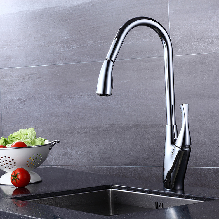 Kitchen Faucet with Sprayer, High Arc Pull Out Kitchen Sink Faucet Mixer Tap Watermark One-handle Pull Down Modern Contemporary