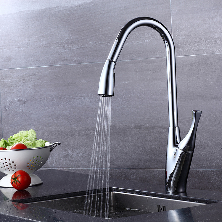 Kitchen Faucet with Sprayer, High Arc Pull Out Kitchen Sink Faucet Mixer Tap Watermark One-handle Pull Down Modern Contemporary