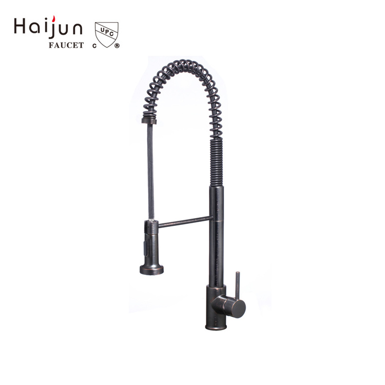 Modern rv Kitchen Faucet American cUPC Single Hole High Arc Single Handle Spring Kitchen Faucet with Pull Down Sprayer