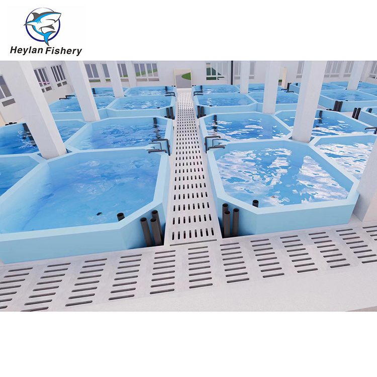 RAS System Aquaculture Equipment for Indoor Fish Shrimp Farming Recirculating Aquaculture System