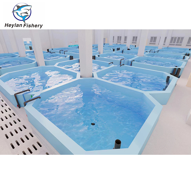 RAS System Aquaculture Equipment for Indoor Fish Shrimp Farming Recirculating Aquaculture System