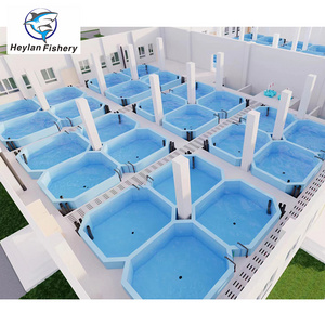 RAS System Aquaculture Equipment for Indoor Fish Shrimp Farming Recirculating Aquaculture System