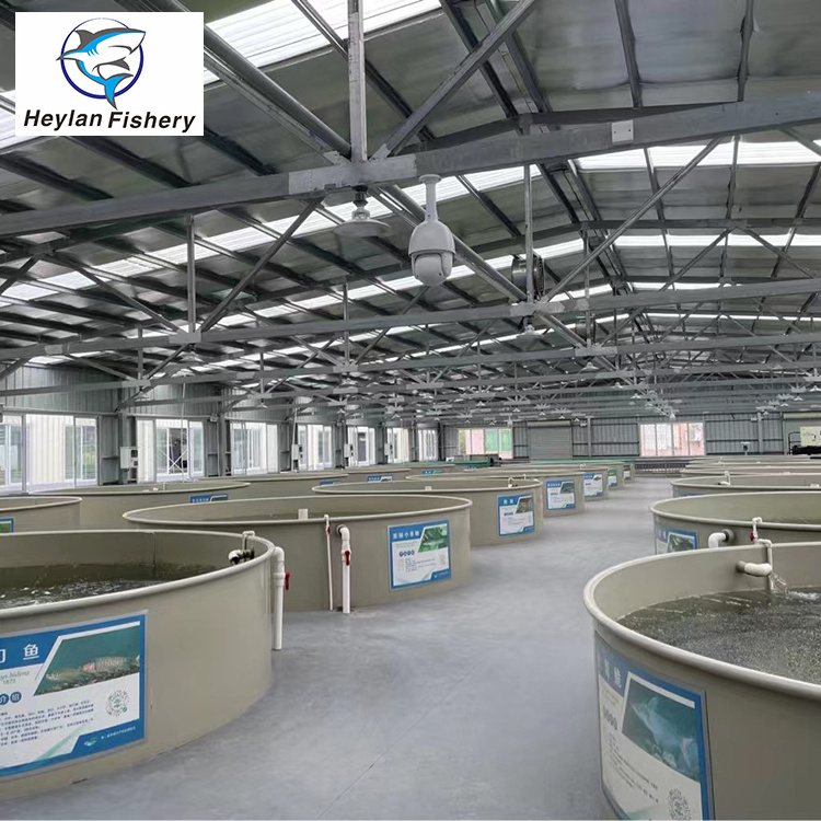 RAS indoor fish shrimp farming equipment Ras indoor recirculating aquaculture system equipment,indoor fish farm for high density