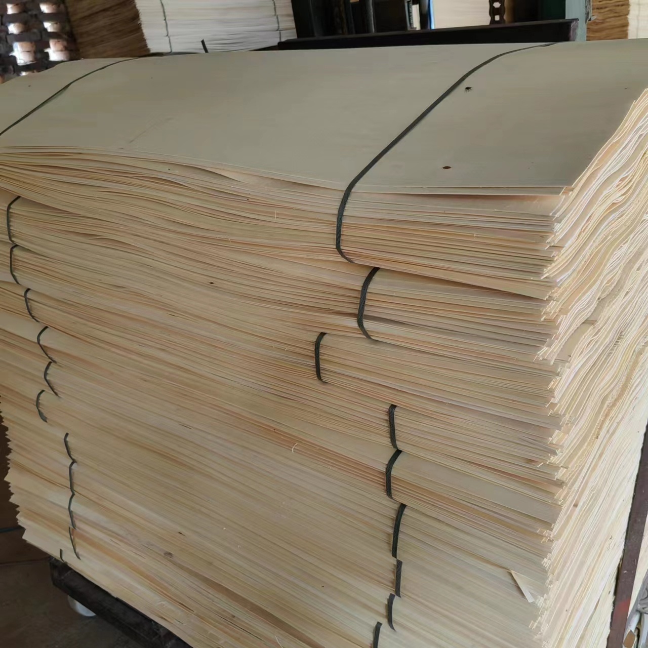 sliced wood veneer  factory direct sale hinoki wood veneer  poplar veneer